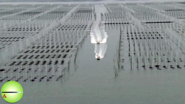 【衝撃】貝を密漁した老夫婦の疾走感ワロタｗｗｗｗｗｗｗｗ