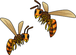 【衝撃】スズメバチ駆除→年収4000万ｗｗｗｗ