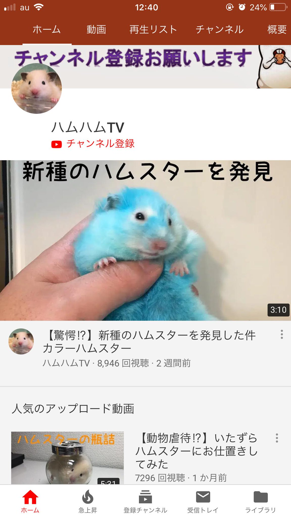 【超画像】新種のハムスターが発見されるｗｗｗｗｗｗ