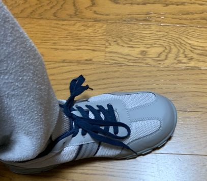 【画像】俺のスニーカーがカッコ良すぎて吹いたｗｗｗｗｗｗ