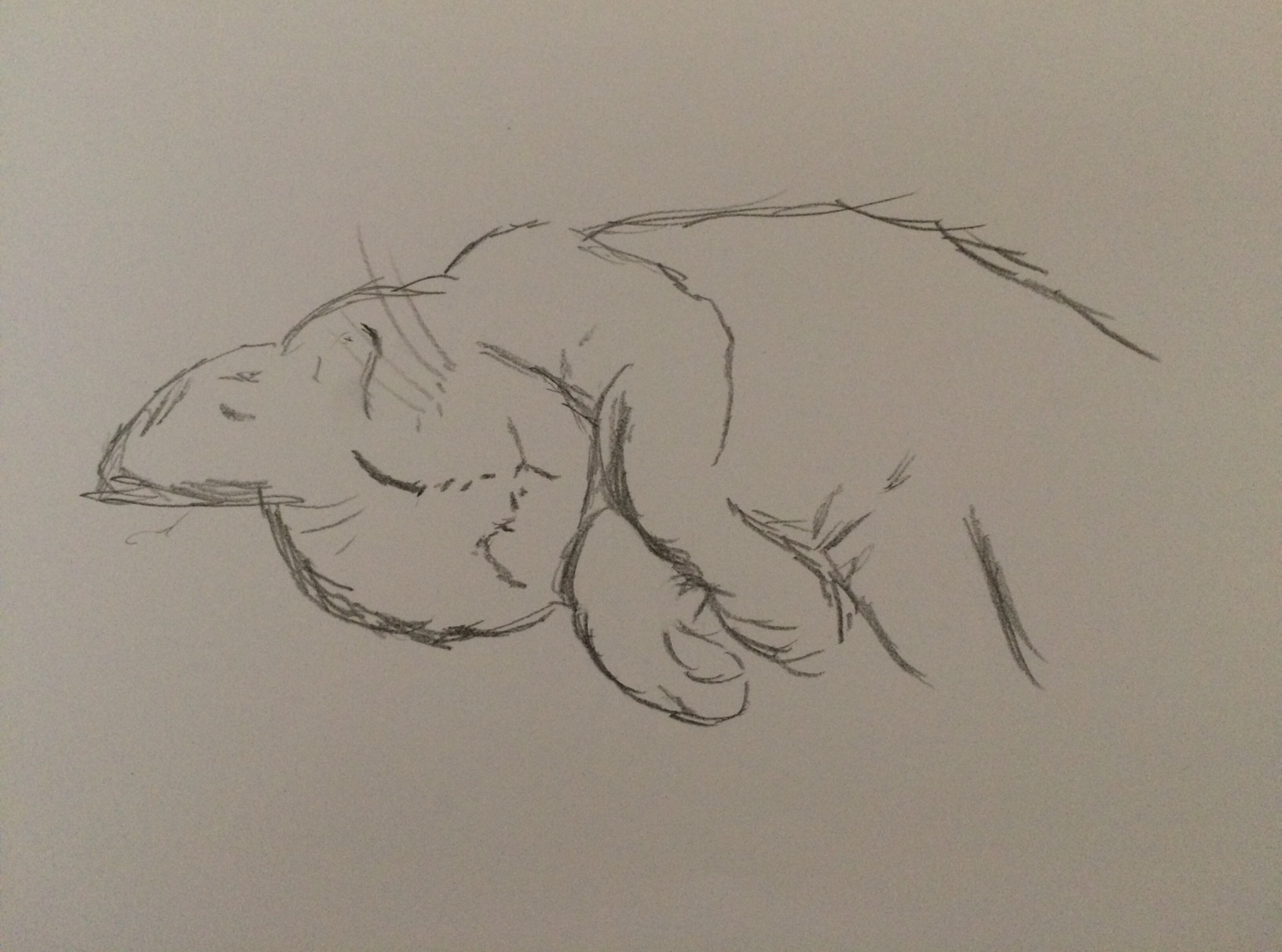 【朗報】ワイ中卒ボカロP、絵が上手いｗｗｗｗｗｗ