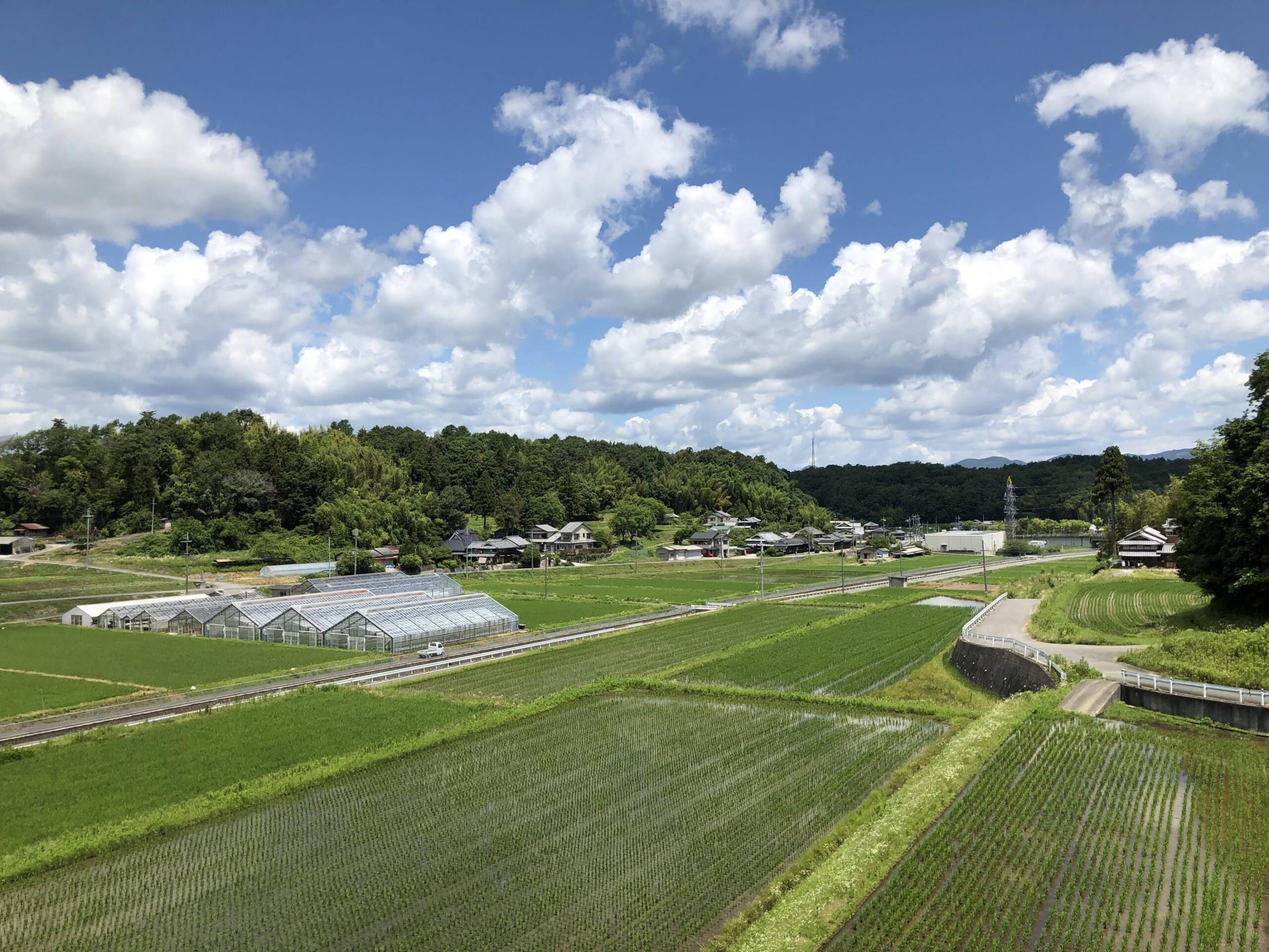 こういう田舎住んでるやつwwww