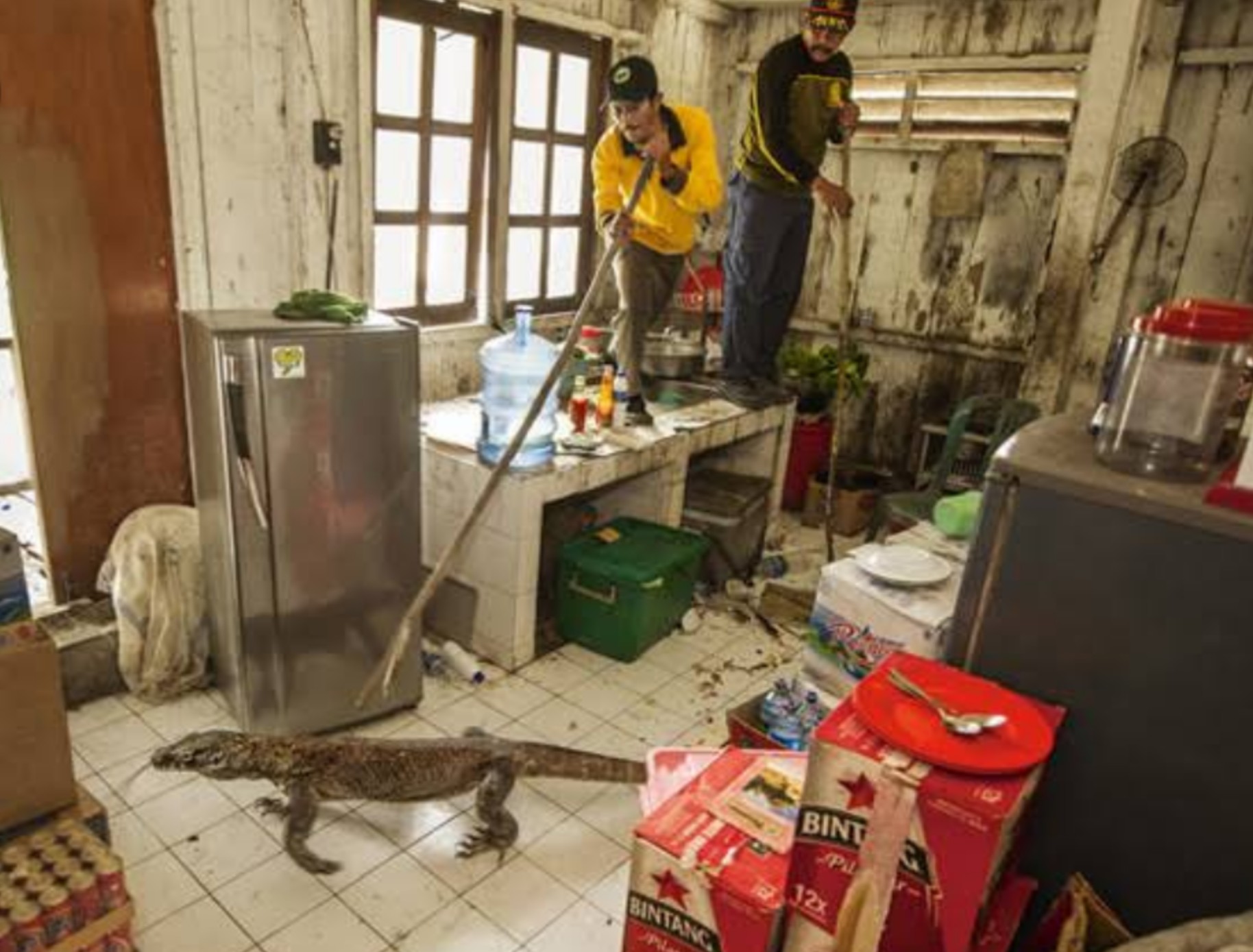 【画像】こもど部屋おじさんの部屋怖すぎだろｗｗｗｗｗｗ