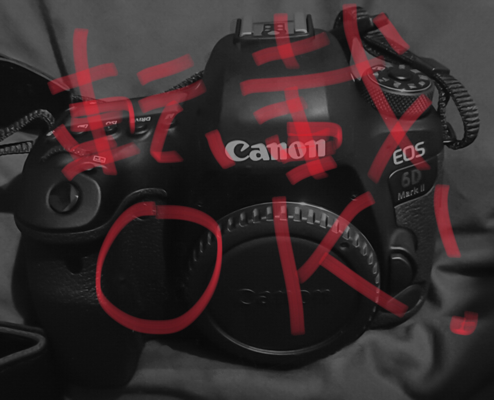 【画像】写真家目指してるけど一眼レフカメラ買ったｗｗｗ