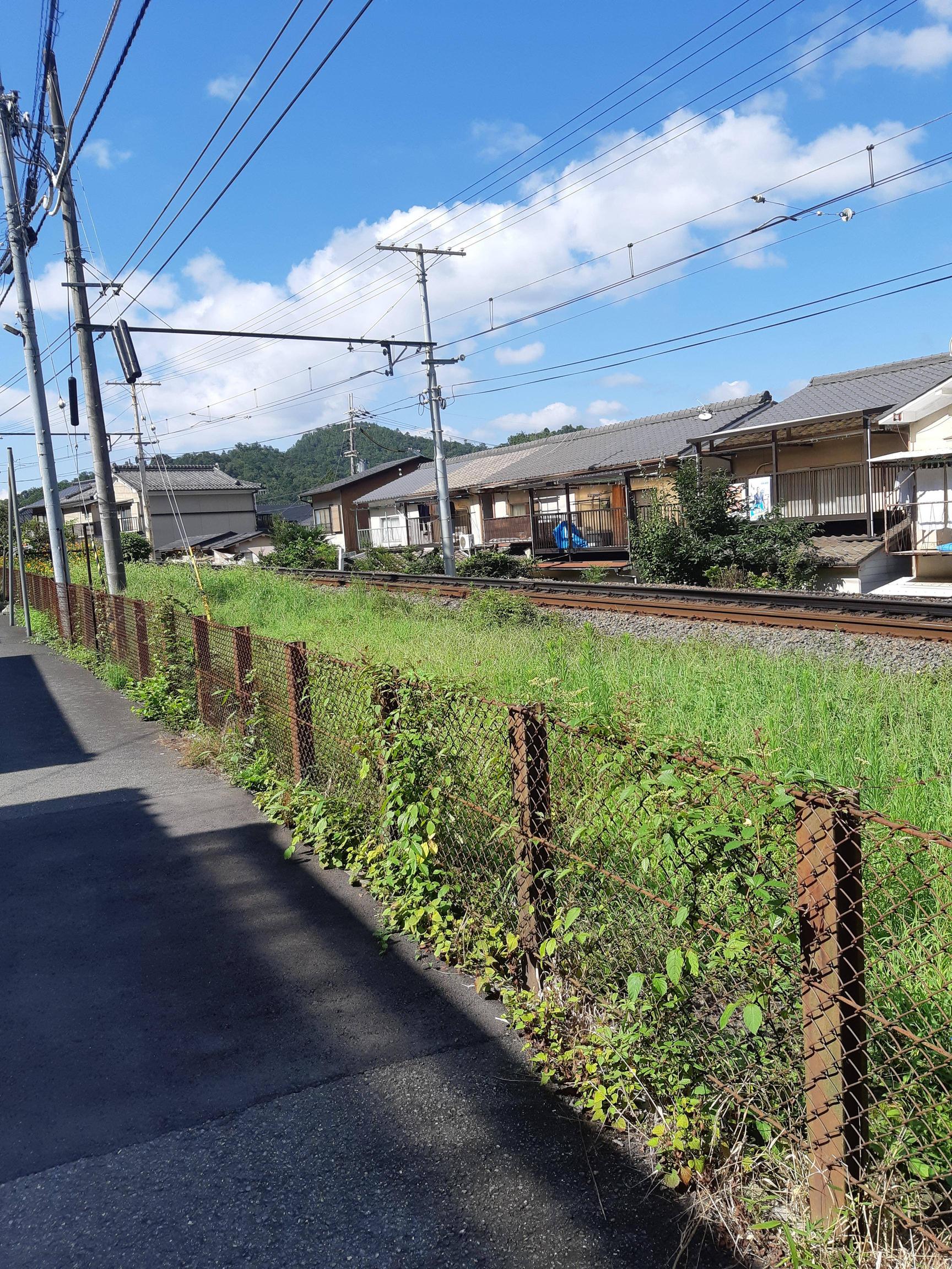 【画像】めっっちゃ夏っぽい写真撮れたｗｗｗｗ
