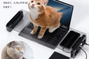 【画像】猫がPC作業を邪魔する時に最適な便利アイテムがこちら