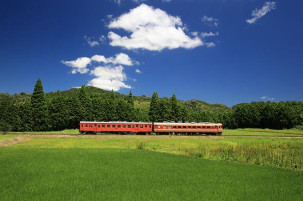 【衝撃】ワイ、東京大学に務めることになりそうｗｗｗｗｗｗｗｗ