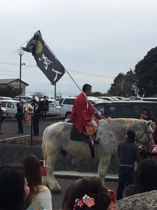 【速報】栃木の新成人、会場に馬で乗りつけるｗｗｗｗｗｗｗ