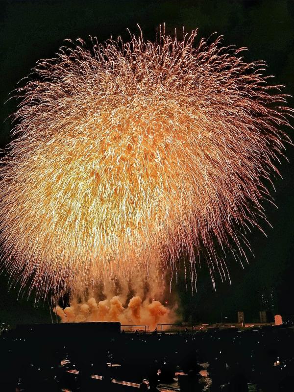 【悲報】花火大会で花火の写真撮ってるガイジって何がしたいんだよｗｗｗｗｗｗ