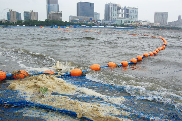 【超画像】東京湾、ガチでヤバいｗｗｗ