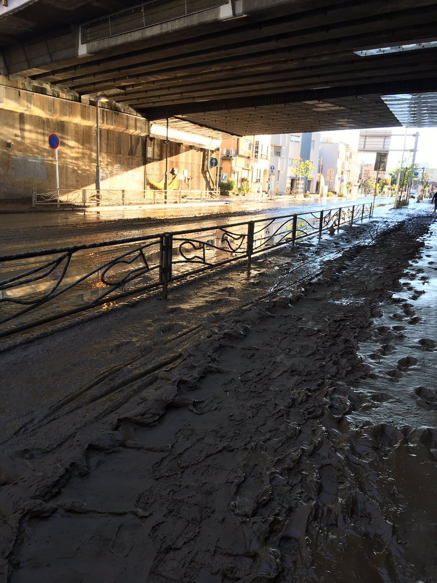 【画像】一夜明けて水が引いた武蔵小杉、道路がウンチで埋まるｗｗｗ