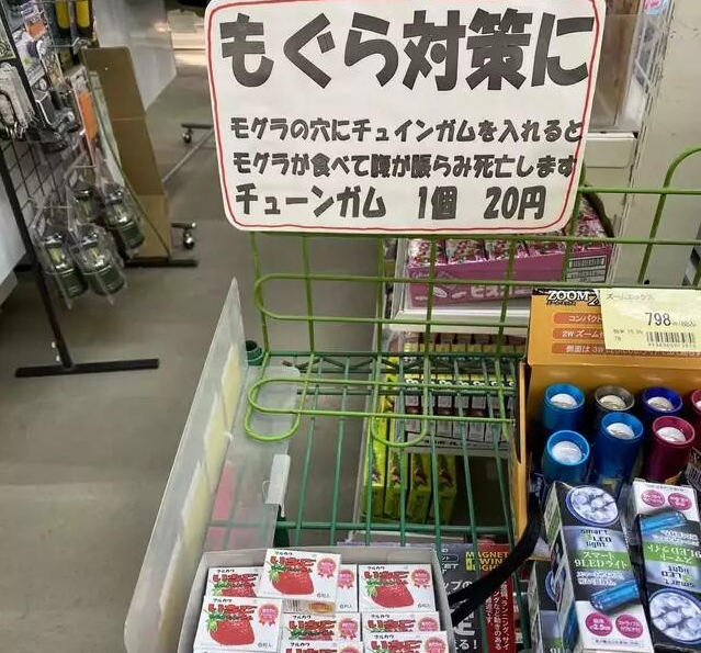 モグラ対策、怖すぎる・・・