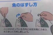 【釣り】釣り針の取り方難しくない？？？