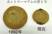 【画像】お菓子のミニサイズ化が止まらない・・・