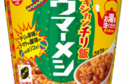 カレーメシの新作、美味いｗｗｗｗｗｗｗｗｗｗｗｗ