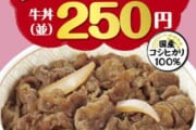 【終焉】すき家の牛丼、値上げして400円へ